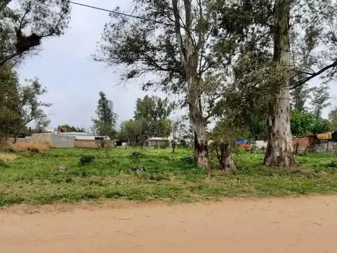 HERMOSO TERRENO A 300MTS DE LA RUTA AL ESTE