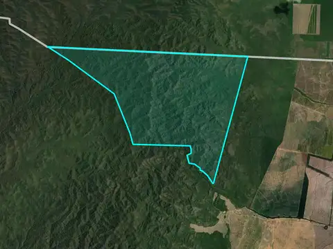 VENTA/PERMUTA CAMPO DE 1730 HA EMBARCACION