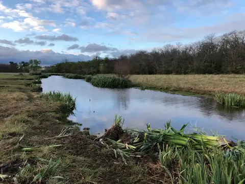 Campo en alquiler x mes en Pilar Ruta 34 Asociación Argentina de Polo
