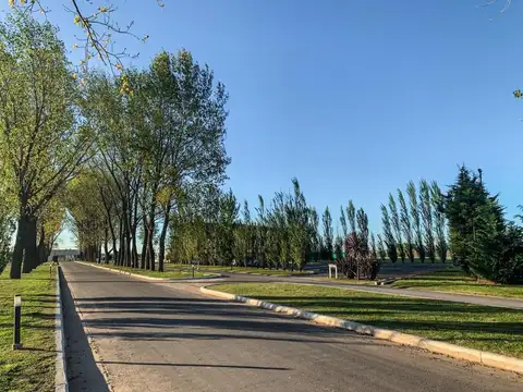 Terreno en Venta de 842,0 m2
