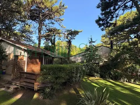 DE LAS Garzas 355 100