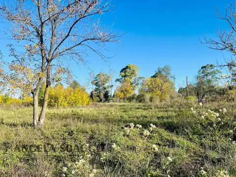 Salamanca, Molino Blanco.