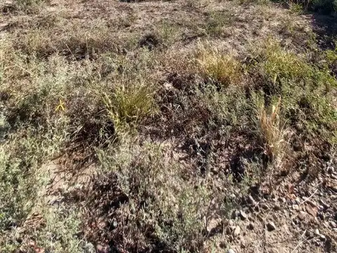 Terreno en Venta en Villa La Paz, USD 15.000