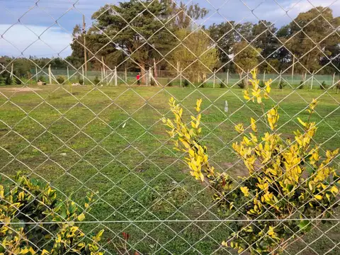 Terreno en Venta 40  mts Frente