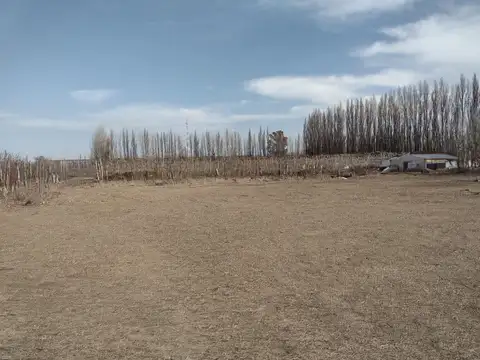 Alquiler Predio sobre ruta nacional 22!