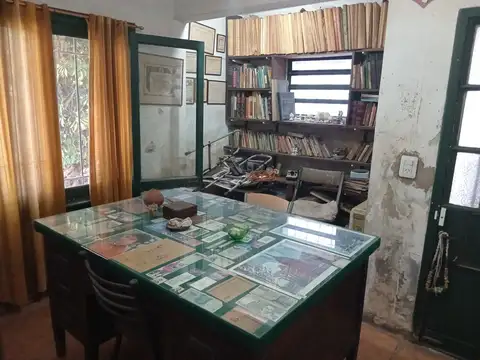 Libertador general san martin 100