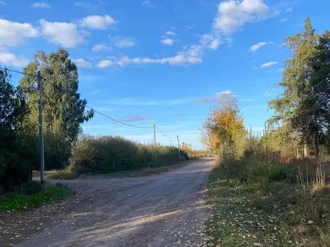 Fincas productivas sobre Ruta 40 - Uco