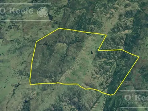 Campo en venta de 876 has Cerro Largo, Uruguay