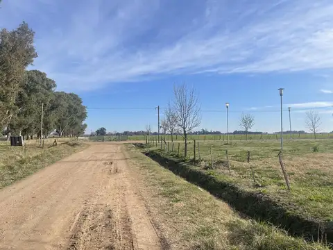Terreno - Salvador Maria