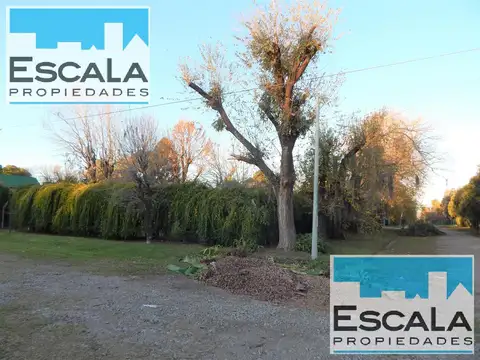 Terreno en Venta 20  mts Frente