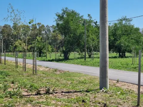 Venta Terreno Longchamps - Barrio "La Arbolada" Lote