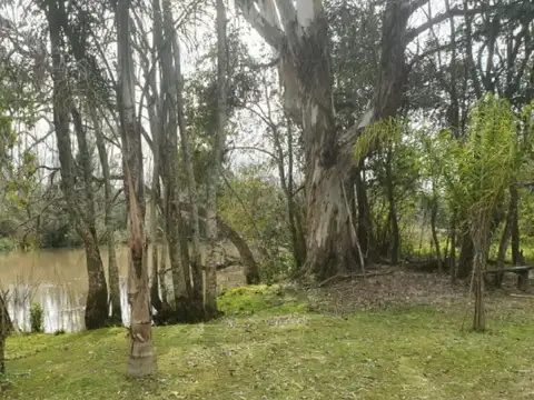 Rio Felicaria