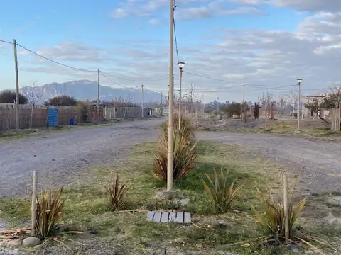 Hermogenes Ruiz y calle Las Moras 100