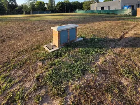 Terreno Lote  en Venta en Santa Elisa, Pilar del Este, Pilar