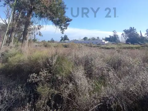 Terreno en Venta de 4943,0 m2