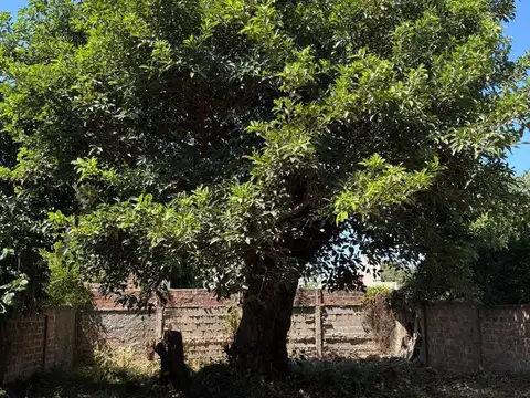Casa 5 ambientes con 1 baño