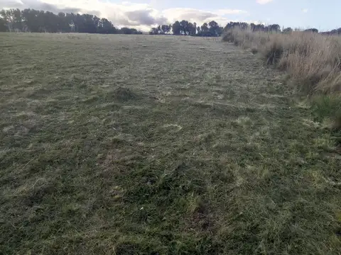 Terreno en Venta de 1300,0 m2