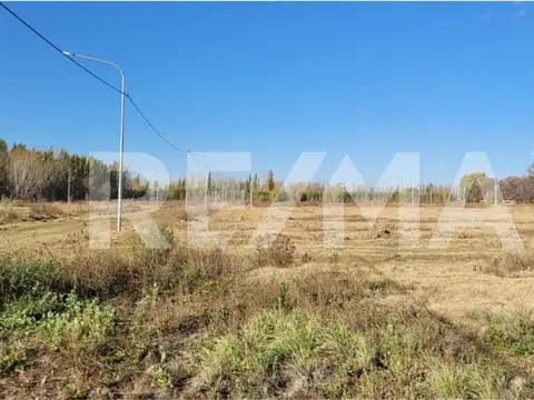 VENTA LOTE B° DON LORENZO - ALLEN