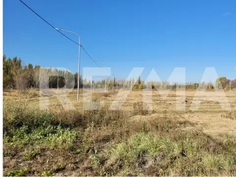 Parcela 12 A Chacra 008