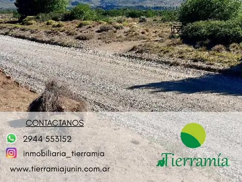 IMPORTANTE LOTE EN LOTEO LAGO HUECHULAFQUEN – JUNÍN DE LOS ANDES