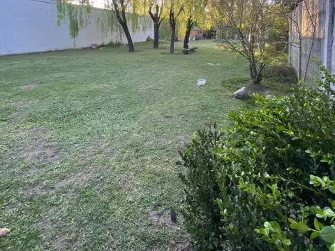 Pasquez 300