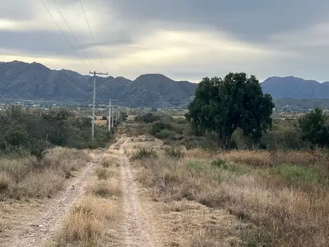 SE VENDE 1 HECTAREA DE CAMPO