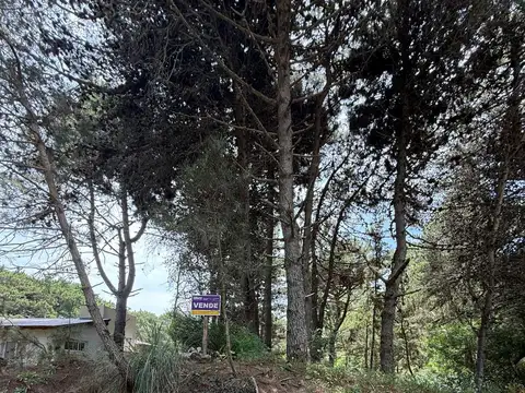 Los Girasoles e/ Las Rosas y Las Delias.