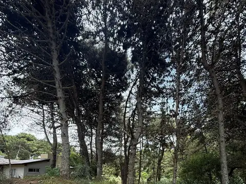 Terreno en Venta de 574,0 m2