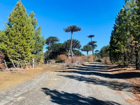 VENTA LOTE MOQUEHUE, ALUMINE