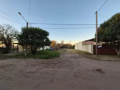 Terreno Alelíes 82