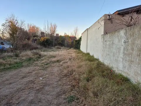 Pasaje Alelies 100