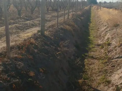 Terreno en Venta de 120000,0 m2