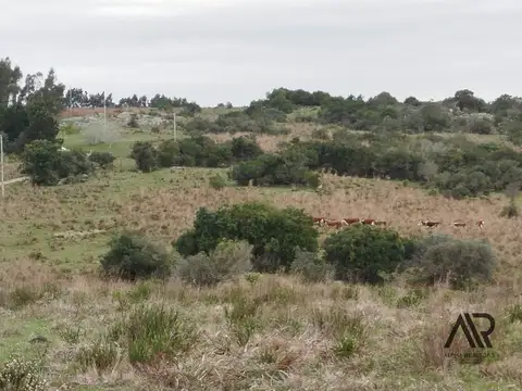 Gran Oportunidad 22 Ha En Garzón/maldondado, A 8 Km Del Pueblo.