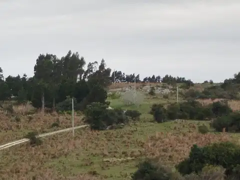 Gran Oportunidad 22 Ha En Garzón/maldondado, A 8 Km Del Pueblo.