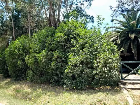 Casa en Venta en Chascomus, USD 115.000