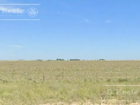 Campo de 667 has en Gonzales Chaves