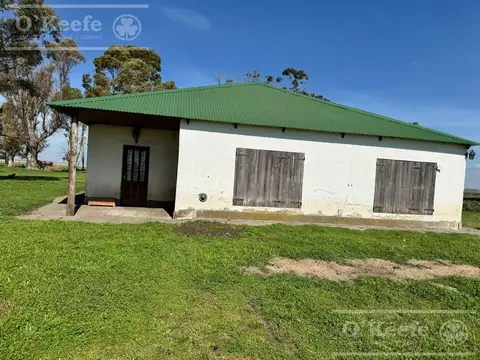 Campo de 667 has en Gonzales Chaves