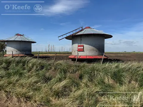 Campo de 667 has en Gonzales Chaves