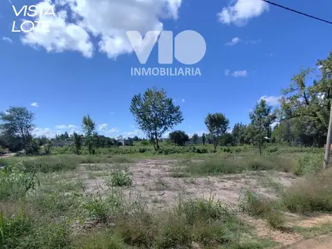 Paysandú casi Timbó