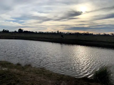 Terreno en Venta en Maximo Paz, USD 24.500