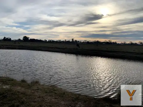 Terreno en Venta en Maximo Paz, USD 24.500