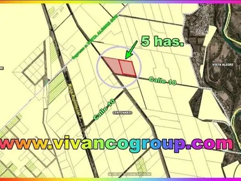 Chacra 5 has. sin plantaciones a desmalezar y limpiar en Centenario