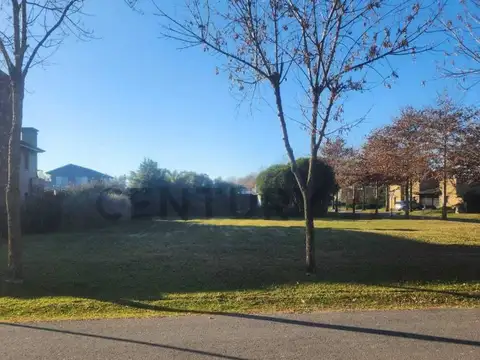 Terreno en Venta 31  mts Frente