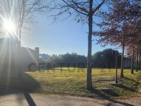 Chazarreta, esquina Hilario Cuadros , Piso LOTE 160