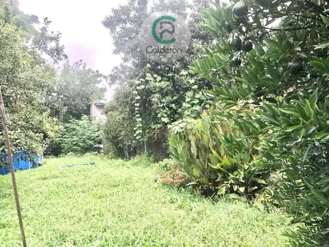 Camila Quiroga 3900