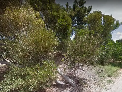 Terreno en Venta de 3145,0 m2