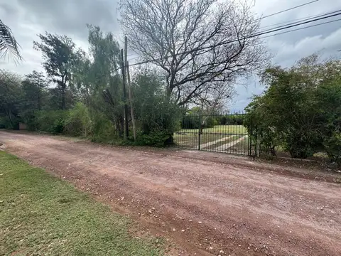 Camino tío Jesus 100