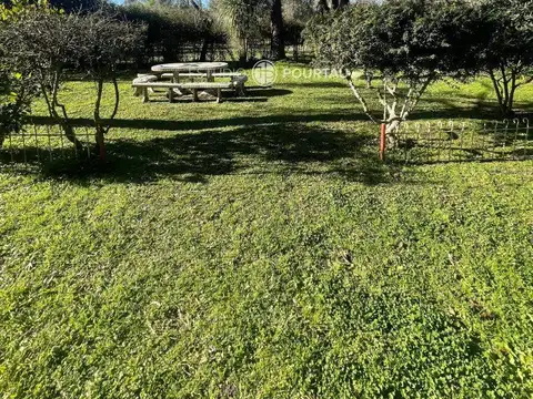 Quinta - Venta - Argentina, Brandsen