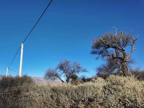 Terreno en Venta en Cafayate, USD 8.400
