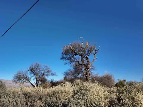 Venta terreno Cafayate Pueblo Nuevo vista cerros